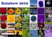 1st Apr 2019 - Rainbow 2019