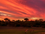 1st Apr 2019 - Sunset from earlier this month