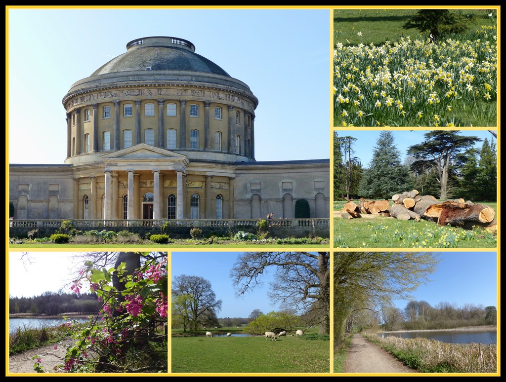 Morning at Ickworth  by foxes37