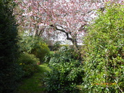 1st Apr 2019 - up the garden path . . .