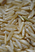 2nd Apr 2019 - brown rice
