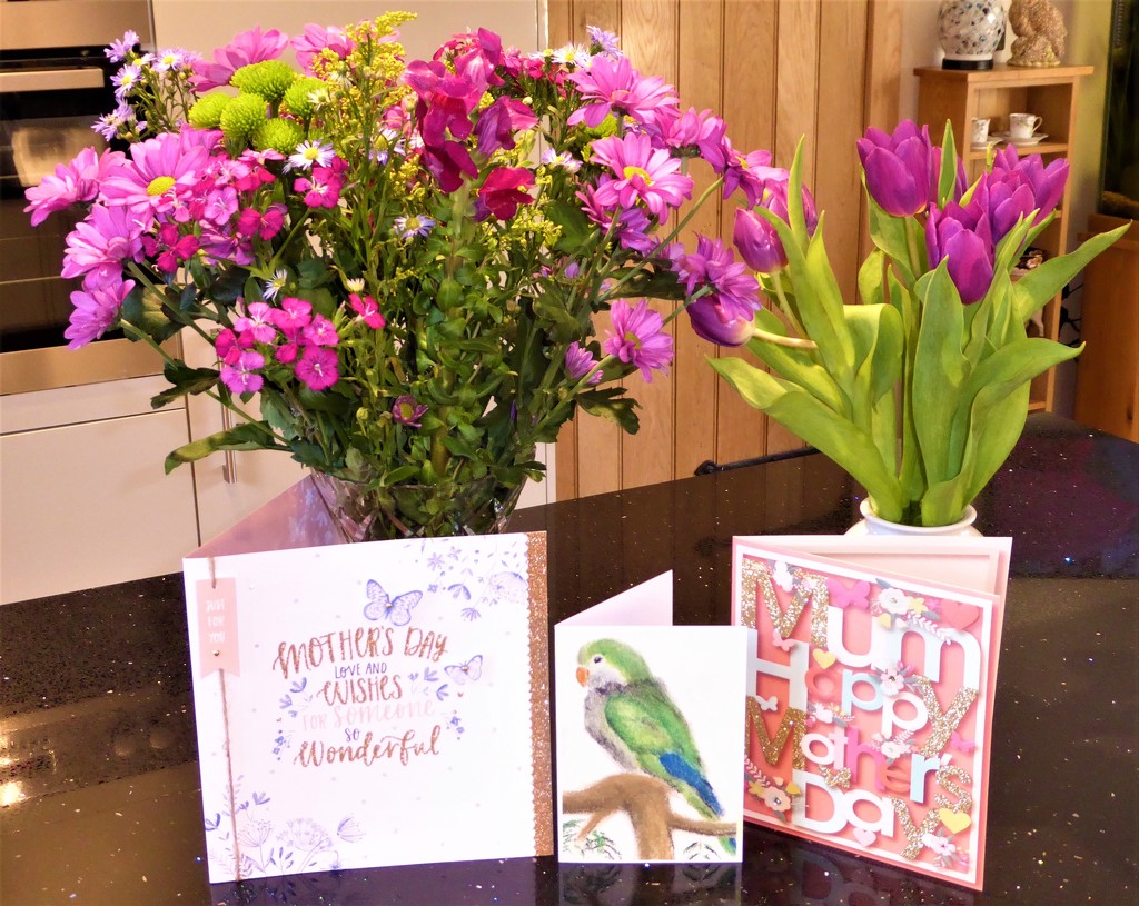  Mother's Day Flowers and Cards  by susiemc