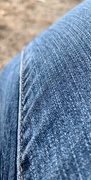 3rd Apr 2019 - Blue jeans
