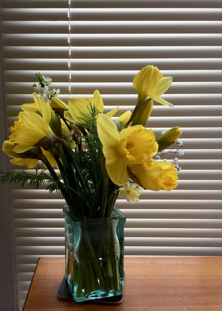 Morning Flowers by daffodill