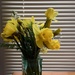 Morning Flowers by daffodill
