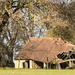 Old Barn by shepherdman