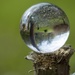 Lensball for 30 days 3/30 ( Take 2) by bizziebeeme