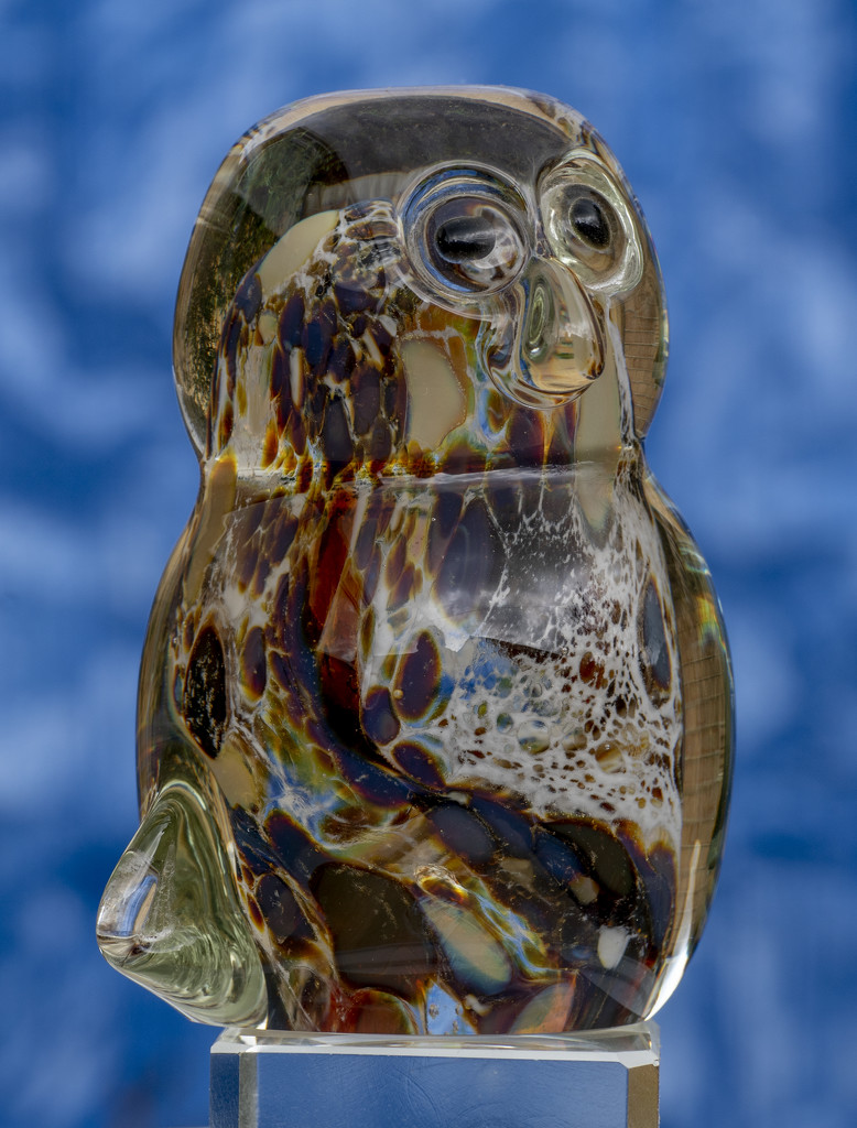 Glass Kookaburra corrected to Owl by pcoulson