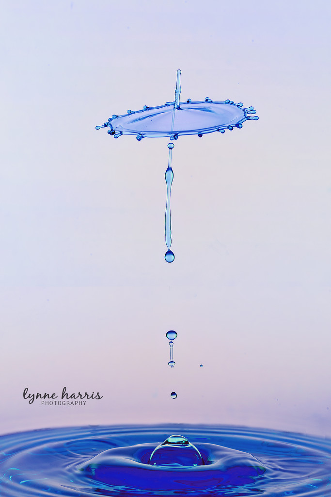 Parasol by lynne5477