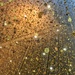 Golden rain.  by cocobella