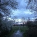 Evening walk between the April showers by jokristina