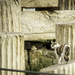 Cat at the Acropolis by gardencat