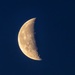 Blue moon at dawn by pamknowler