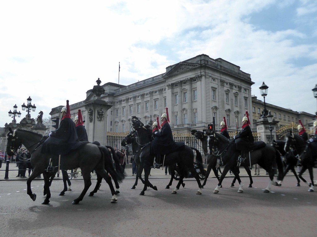 Horses at Buckingham Palace by cmp
