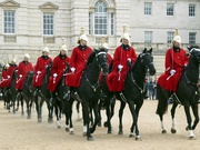 27th Mar 2019 - Horse Guards Parade