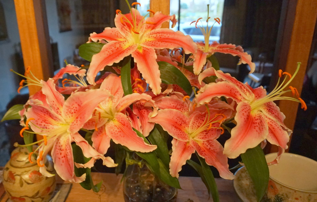welcome home lilies by sarah19
