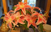 4th Apr 2019 - welcome home lilies
