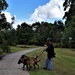 Two Large Dogs & A Mobile Phone ~      by happysnaps