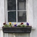 Window Box by essiesue