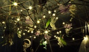 4th Apr 2019 - Fairy Lights in Spring
