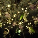 Fairy Lights in Spring by radiodan