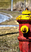 4th Apr 2019 - hydrant and bokeh