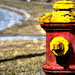hydrant and bokeh by summerfield