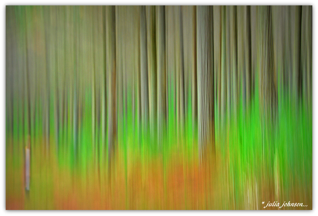 Movement in the Forest by julzmaioro