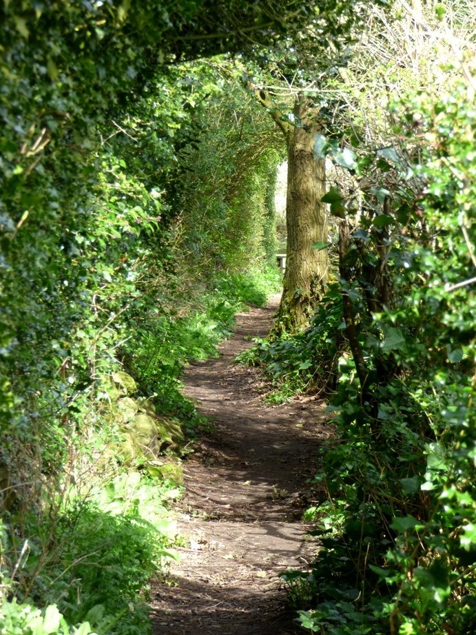 Sheltered Footpath by fishers