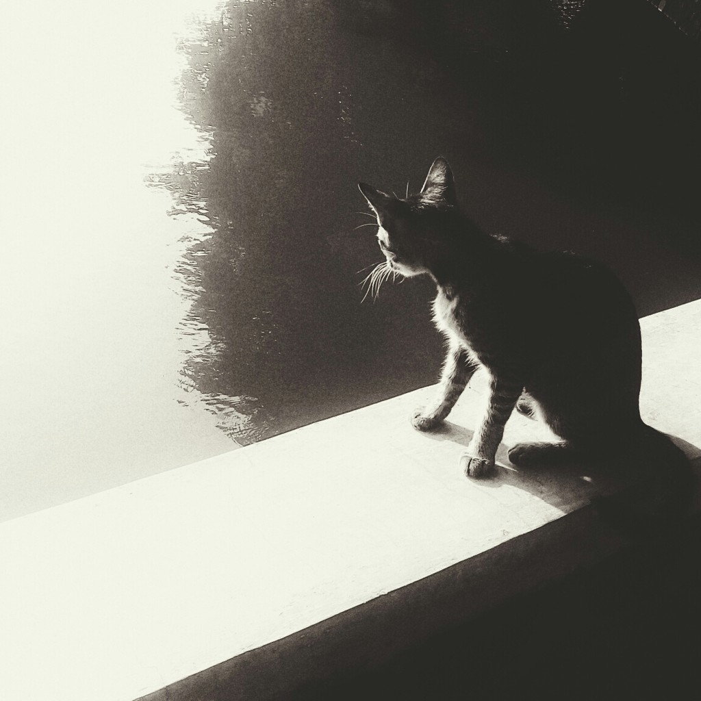 kesepian sang kucing by arnica17