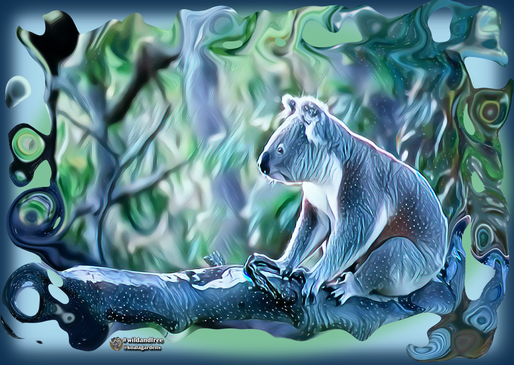 a pandora koala? by koalagardens