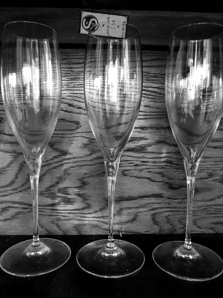 30 Shot April- Champagne and Oak  by brigette