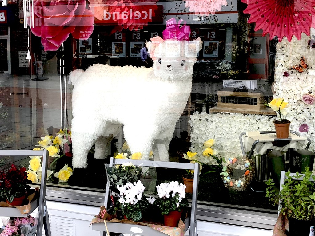 Sheep In A Shop by davemockford