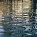 ripples by vankrey