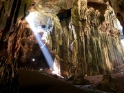 29th Mar 2019 - Gomantong Caves