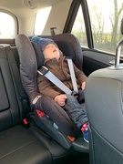 6th Apr 2019 - All tuckered out