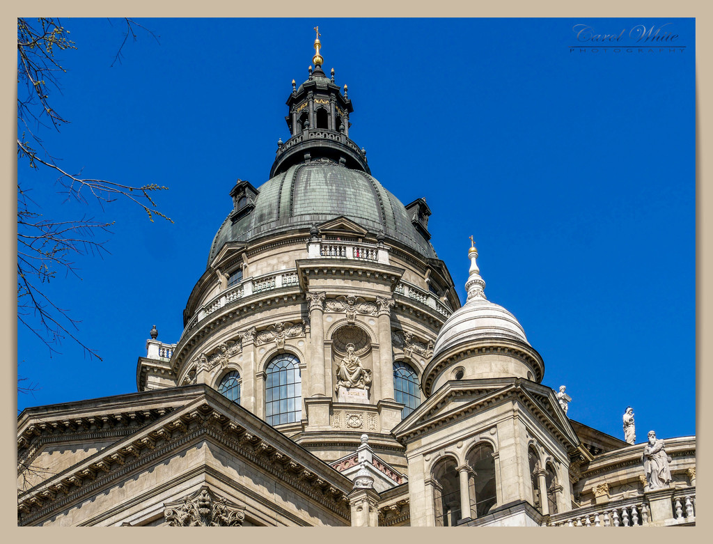 The Dome Of St.Stephen's Basilica,Budapest. by carolmw