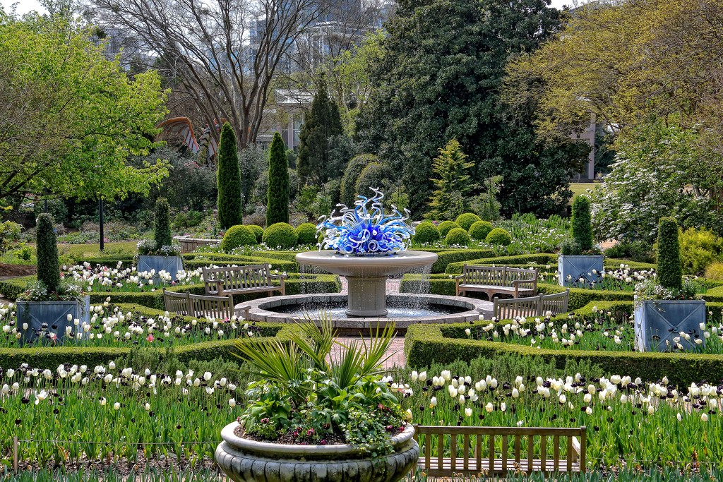Atlanta Botanical Gardens by danette