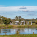 Stonehenge on Speed by yorkshirekiwi