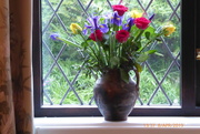 8th Apr 2019 - Flowers in the window ....