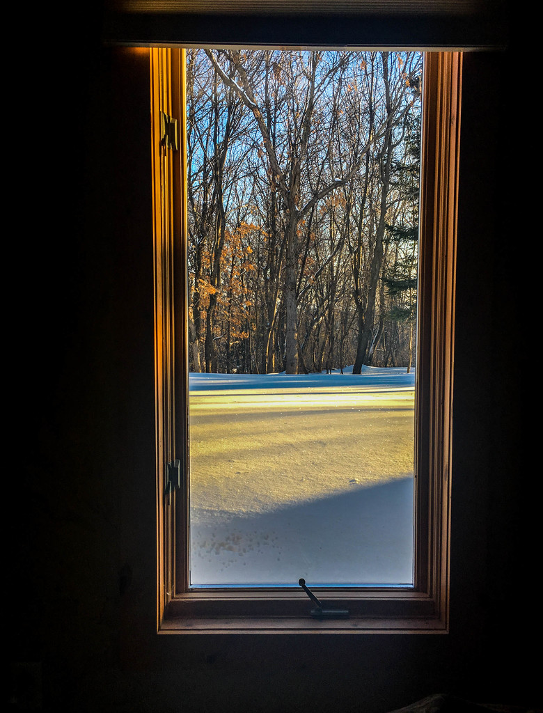 Snowy Window View by jeffjones