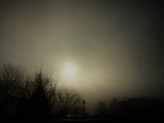 5th Apr 2019 - Fog