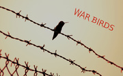 14th Jan 2019 - War Birds