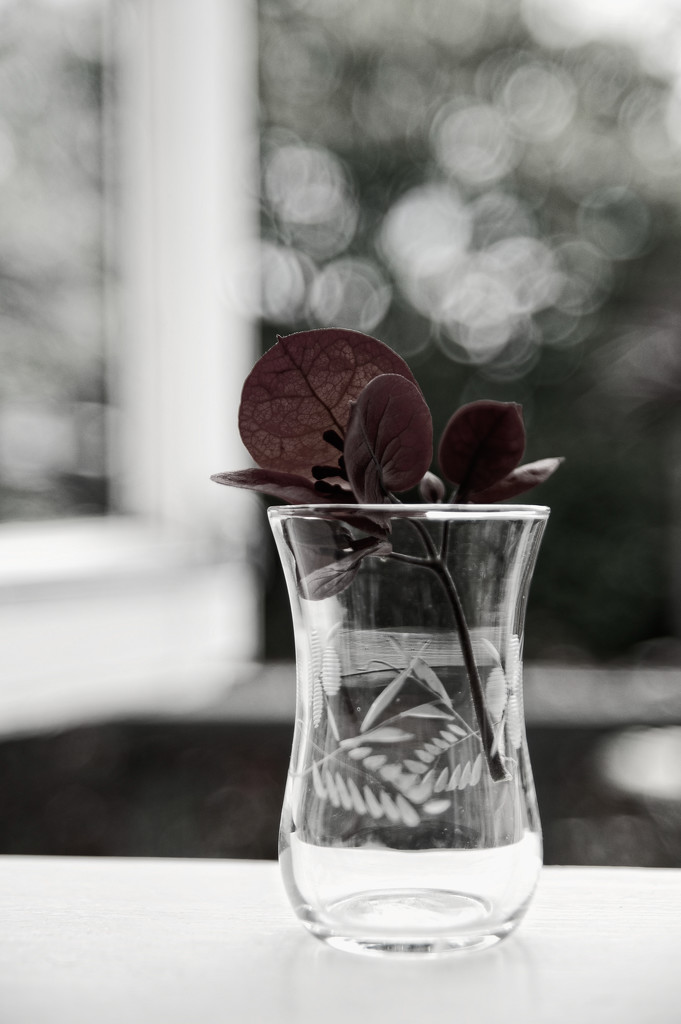 30 Shot April Tea - Glass by brigette