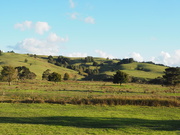 10th Apr 2019 - Northland country side 