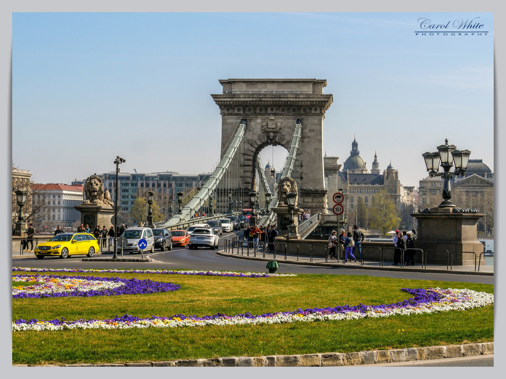 Chain Bridge View,Budapest by carolmw