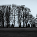 Trees on the golf course by frequentframes