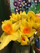 10th Apr 2019 - daffodils!