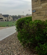 9th Apr 2019 - Composed just outside the Natatorium, looking toward the Old Stadium and Alumni Center