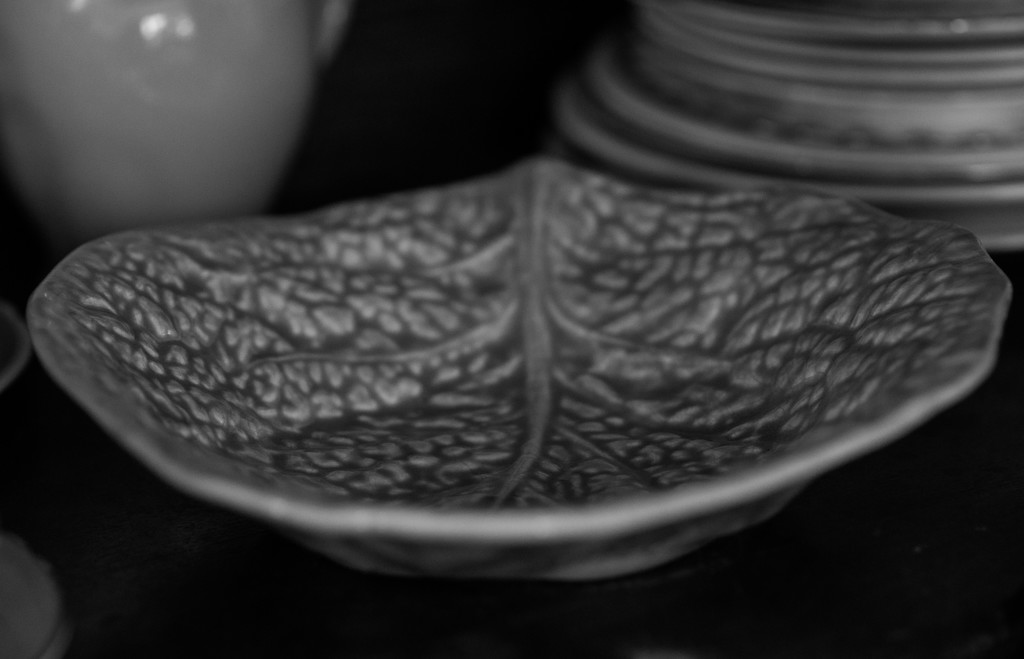 30 Shot April - Leaf plate  by brigette